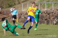 TSV Auerbach - TV Spöck_15