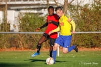 11.11.2018: TV Spöck - FC West Karlsruhe